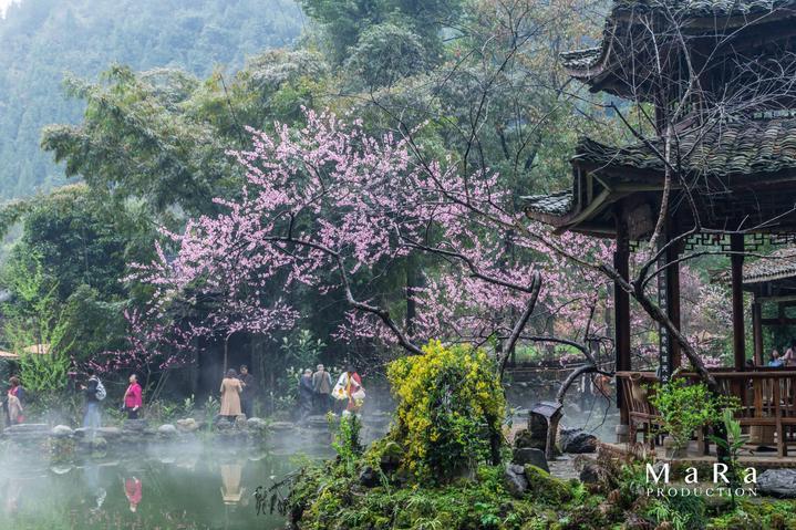 全部合格!黑河市公布2023年产品质量监督抽查情况