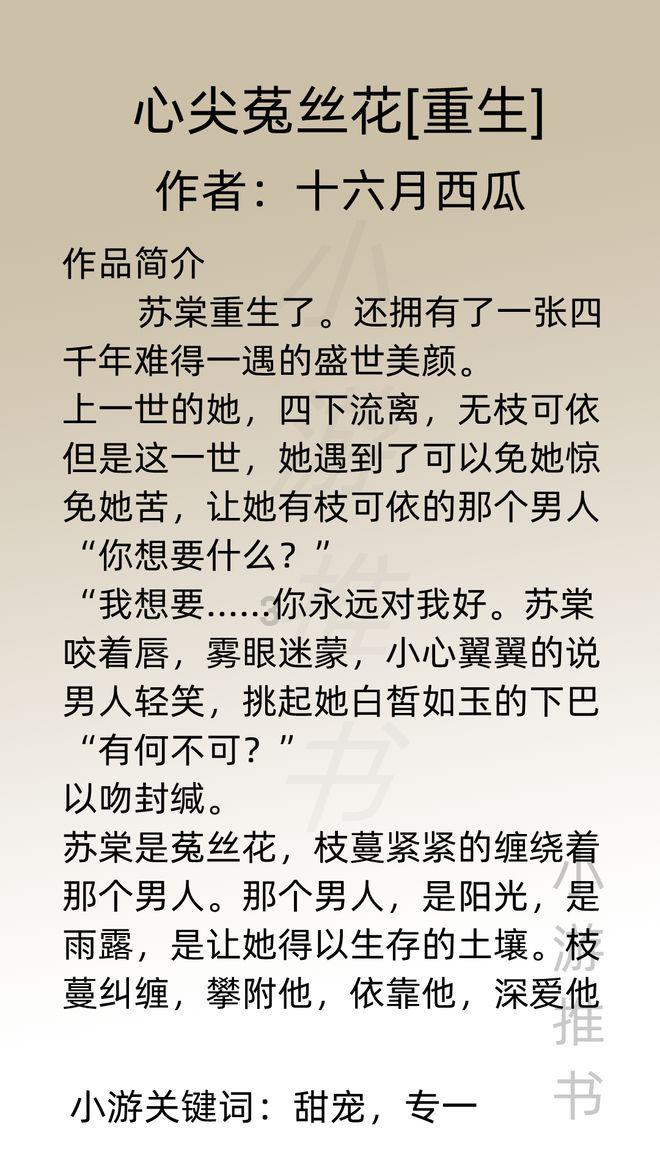 魏村船闸成功纳入江苏全省航道网运行调度与监测体系